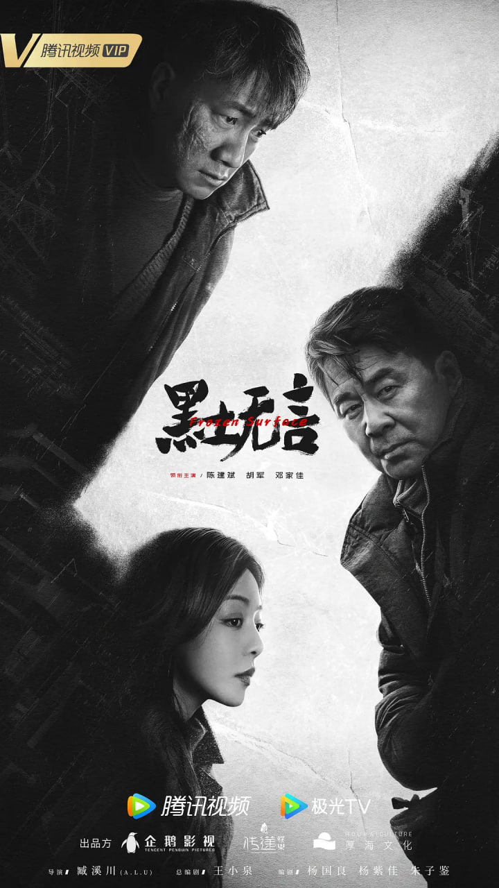 黑土无言4K(2024)悬疑 犯罪 陈建斌 胡军 邓家佳 更新11集  1.78G